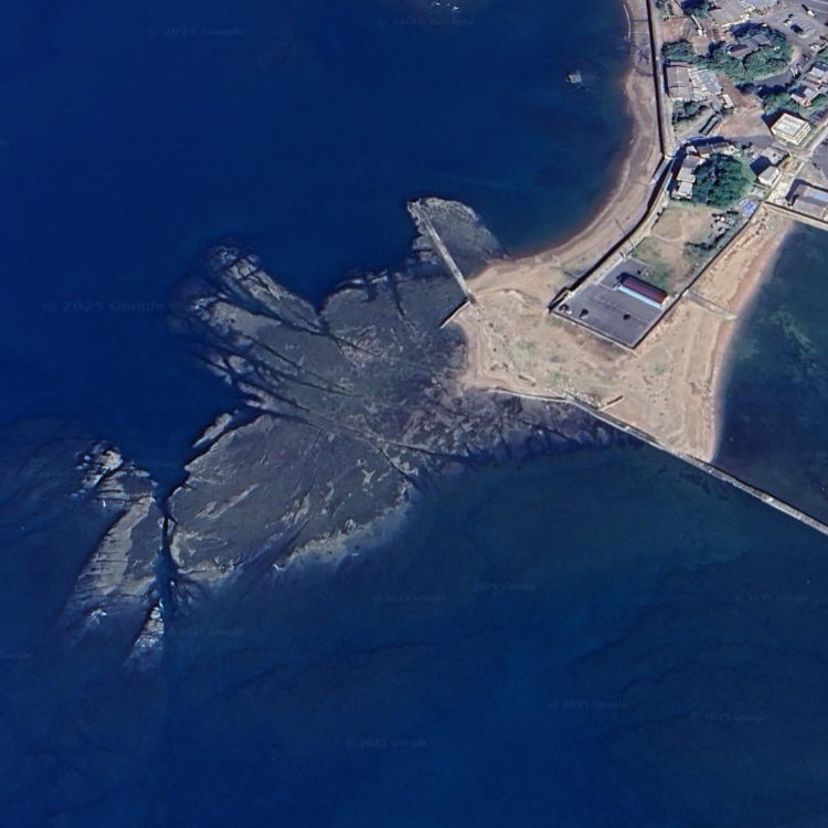森の鼻（釣り場・海公園）