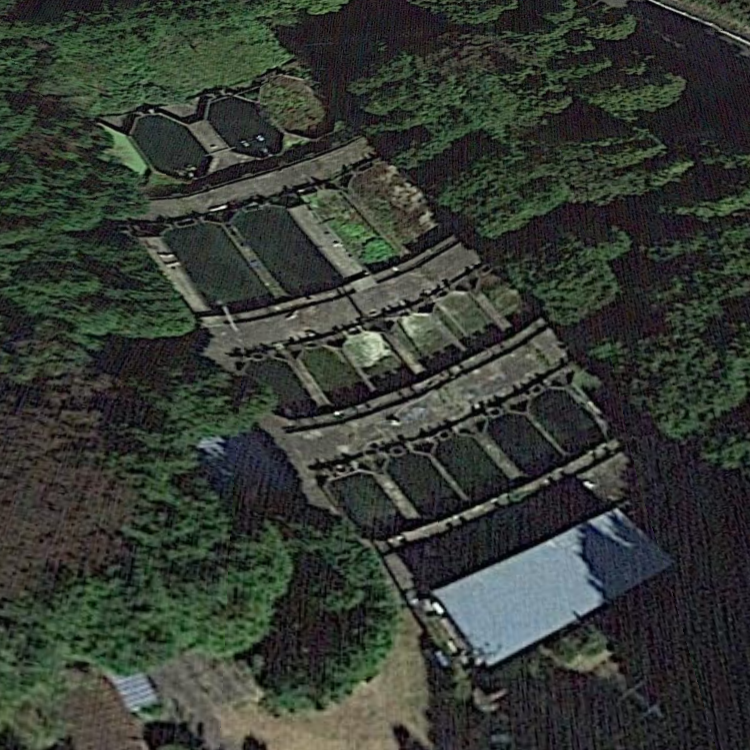 釣り堀 やましろ屋