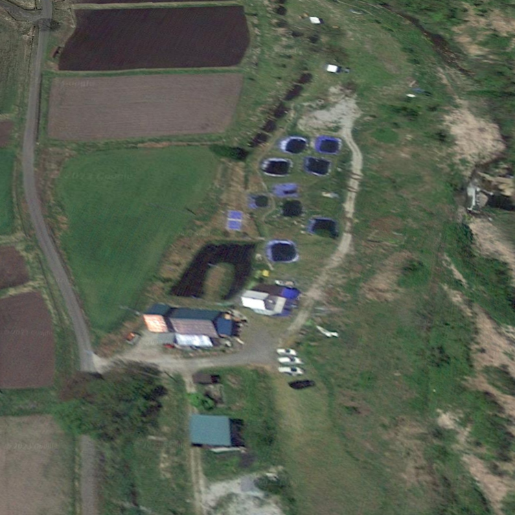 釣り堀・清流釣り