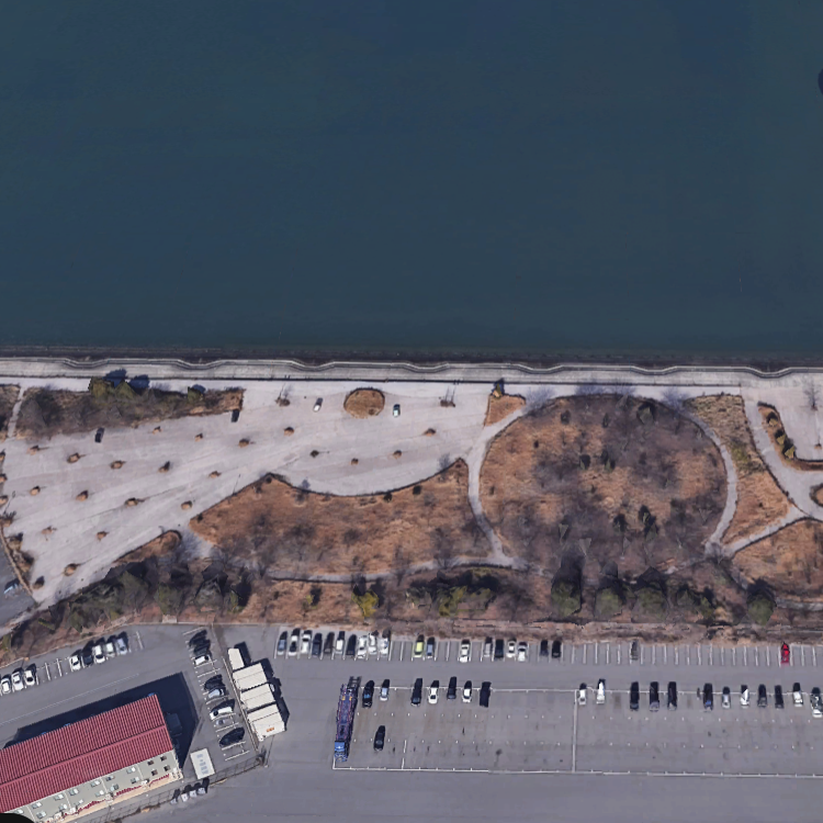 １２－１号緑地