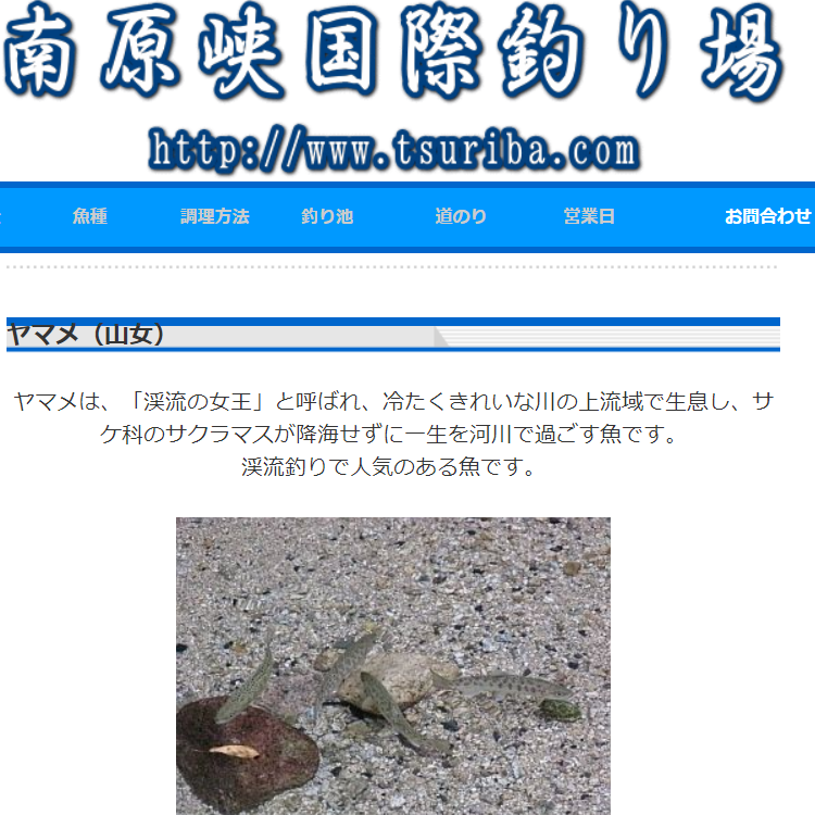 南原峡国際釣り場