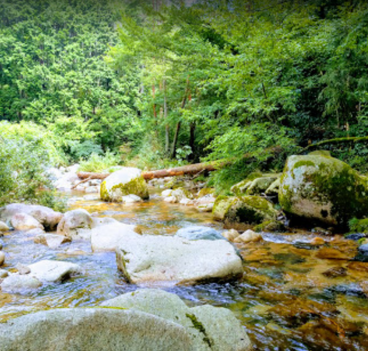 七瀬川渓流釣り場