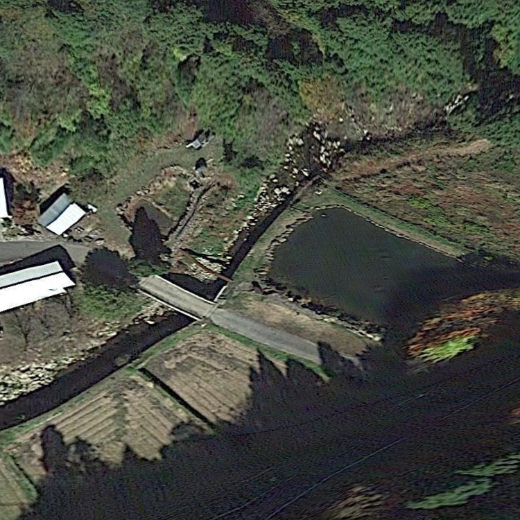 フライスポット大谷