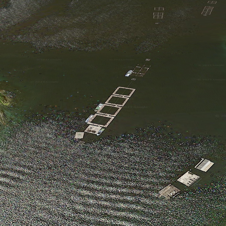 海上釣り堀 海遊