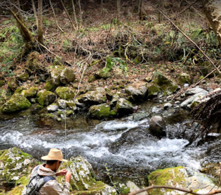 小川川毛鉤釣り専用区
