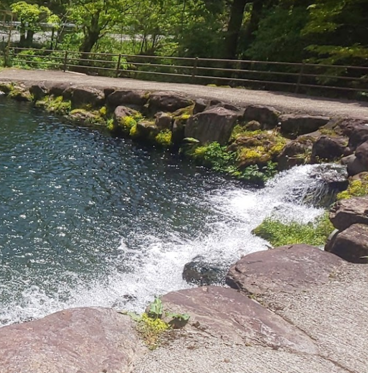 つり堀亭にしむら