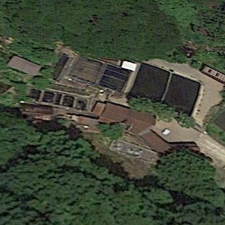 神之瀬フィッシング