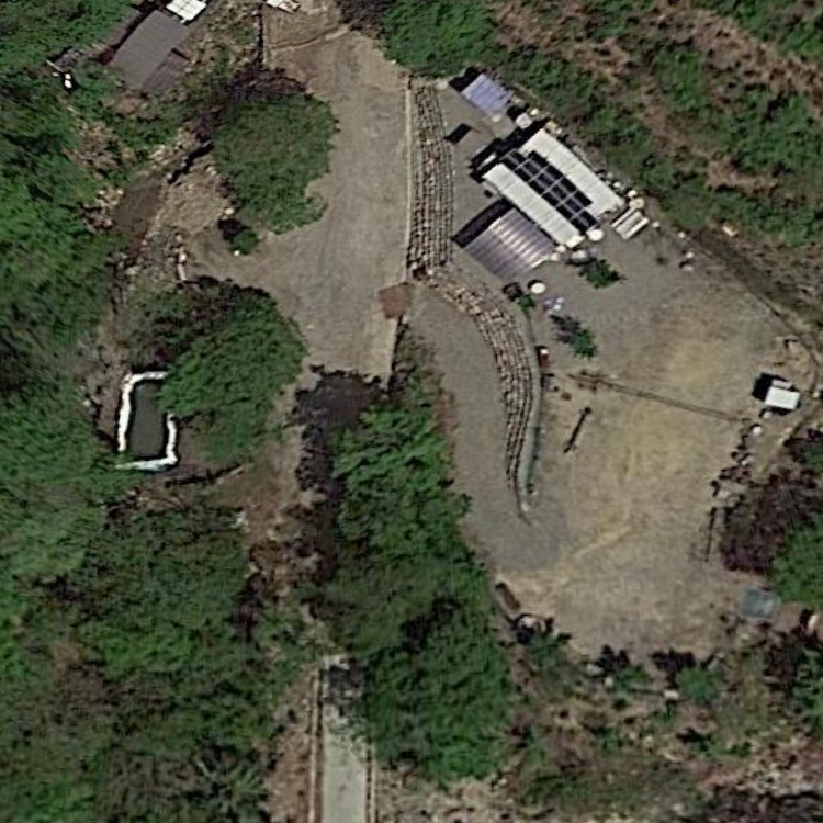 しいちゃんの森