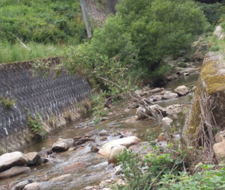 大谷川毛ばり釣り専用区