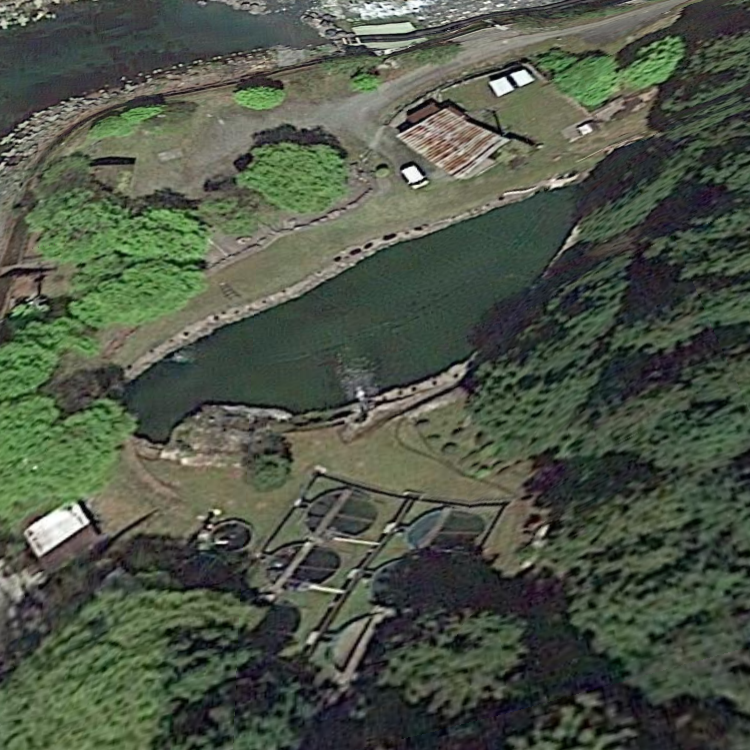 木魚屋アメゴ釣り堀