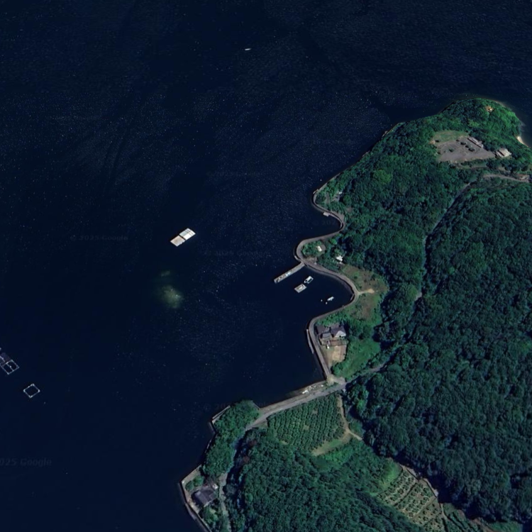 深浦漁協 釣り筏