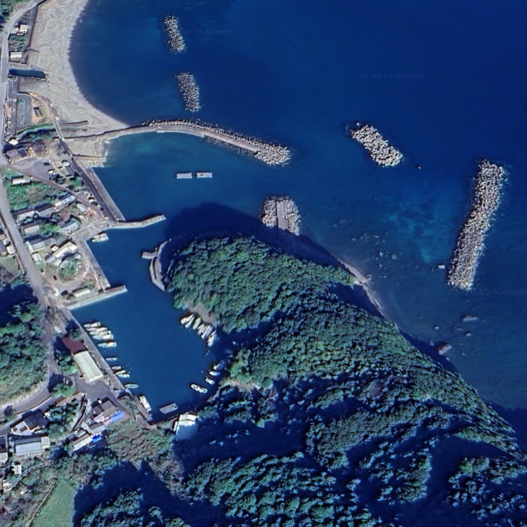 矢井賀観光釣りイカダ