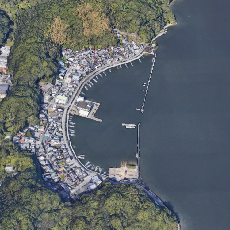 高知県漁協 御畳瀬支所