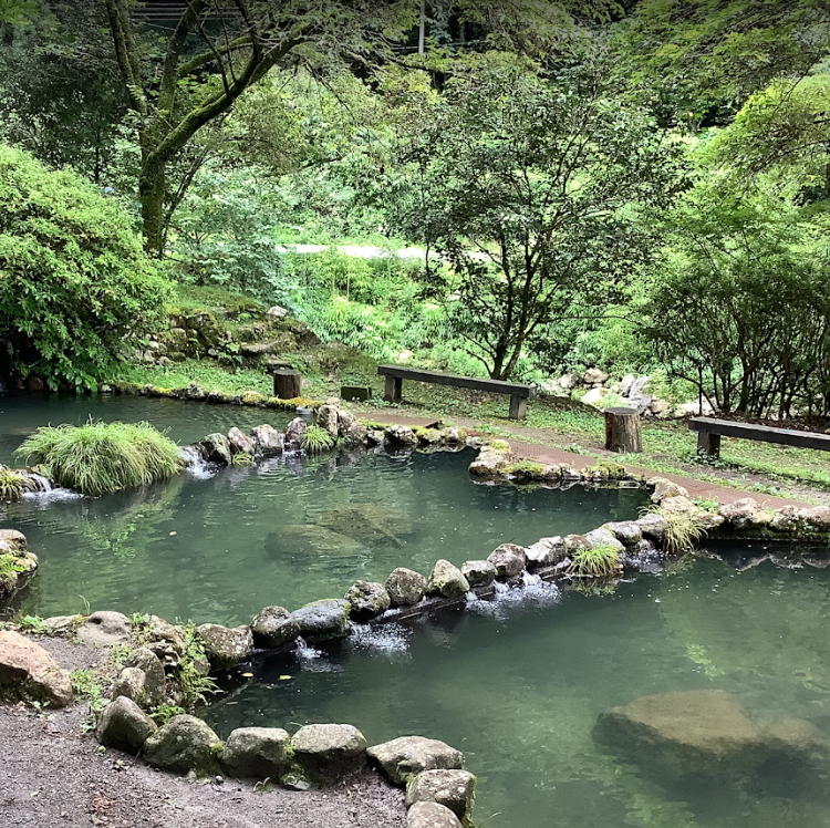 せせらぎヤマメ釣り堀場