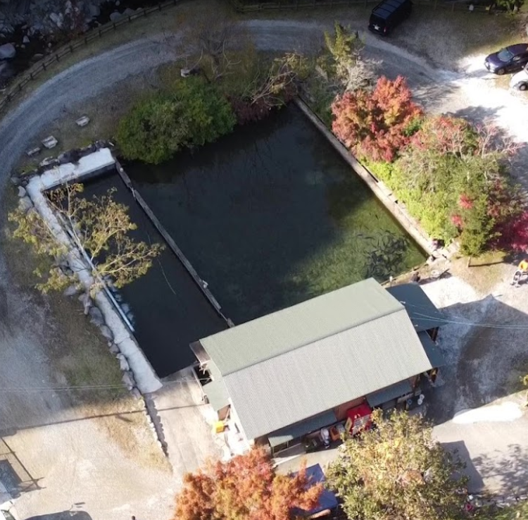 篠崎川魚店 釣り堀