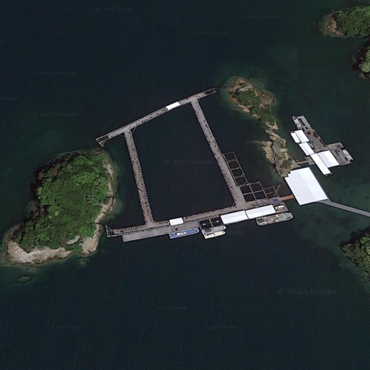 仮屋湾遊漁センター