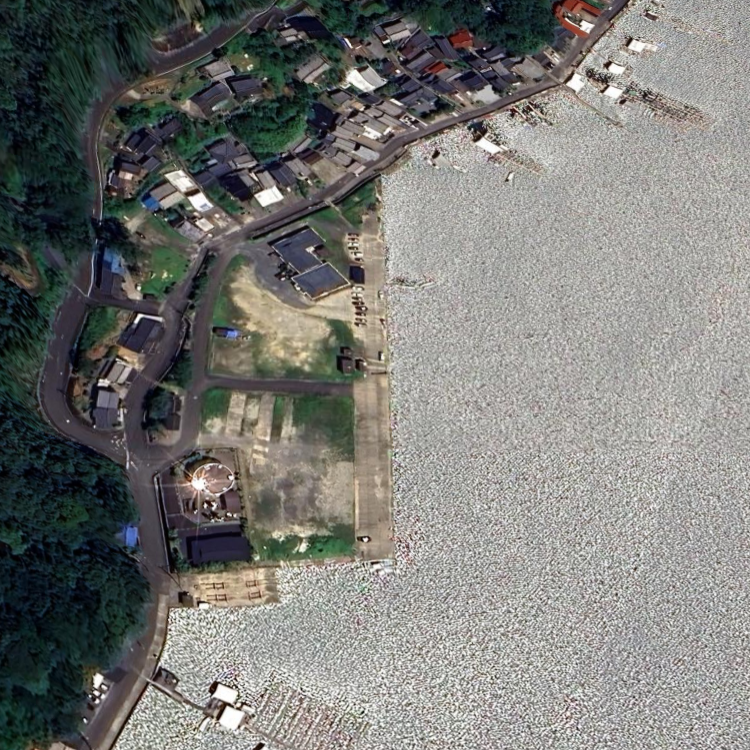 仮屋湾 レンタルボート 筏渡し 孝好丸