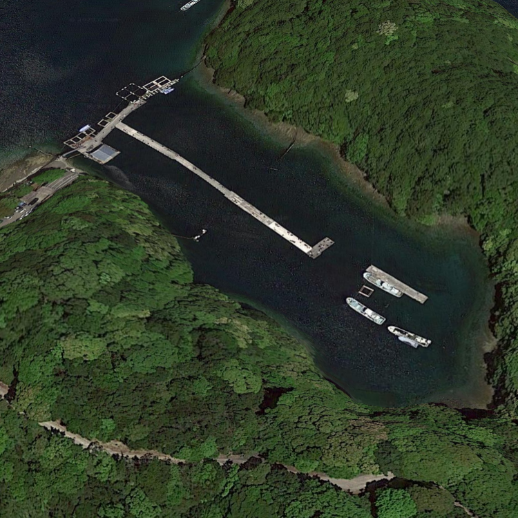 ジャンボフィッシング村