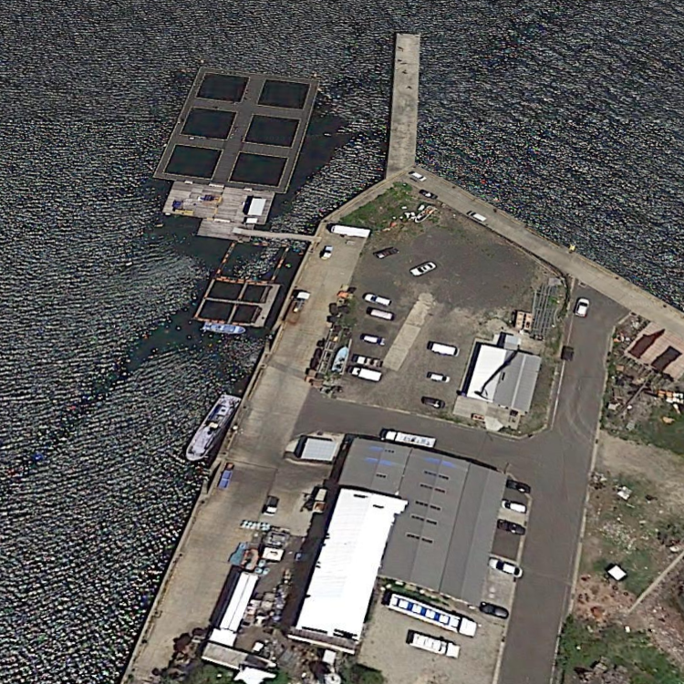 釣り堀ハマカツ