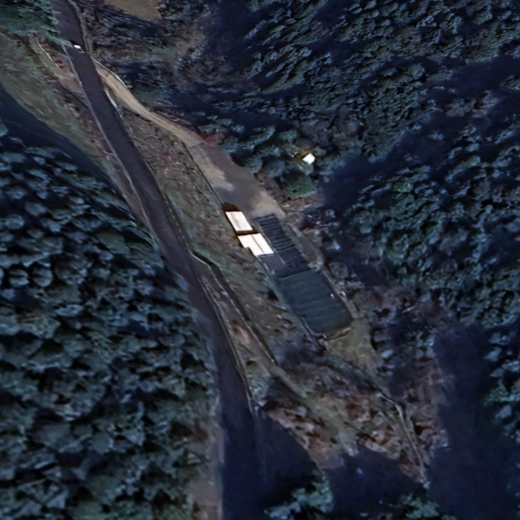 青龍の郷 ヤマメ釣り