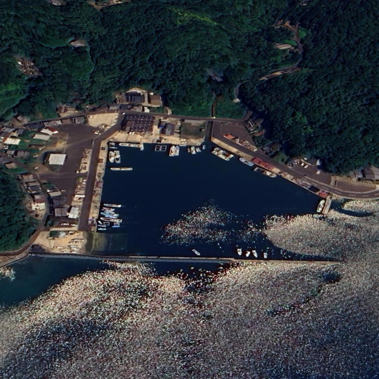 土肥釣りセンター