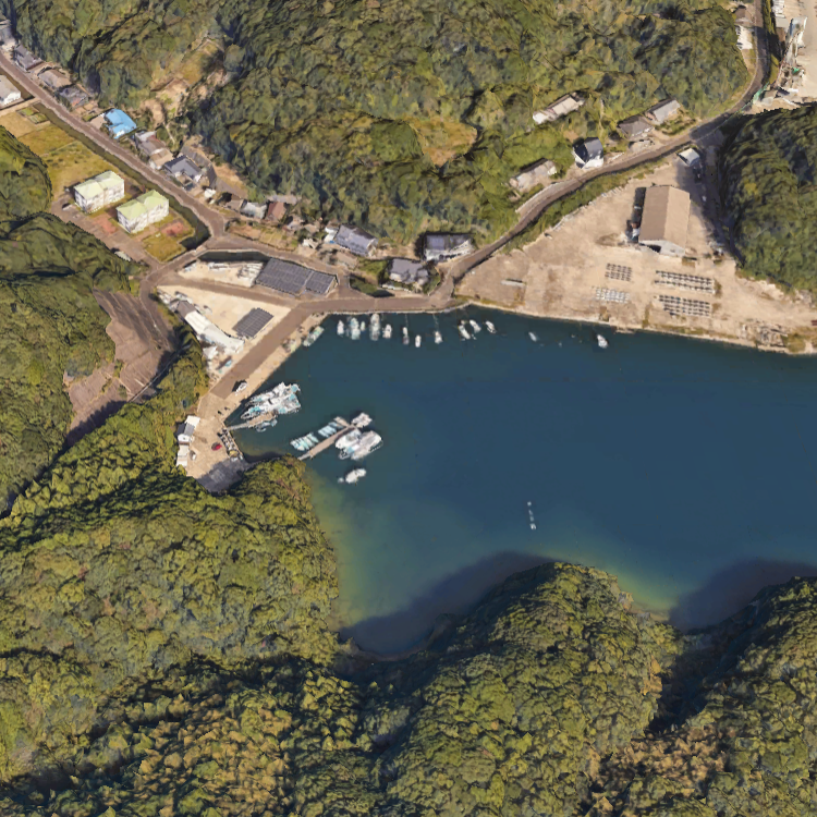 サクセス フィッシング