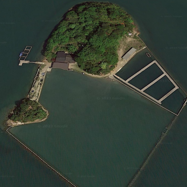 天草釣堀レジャーランド