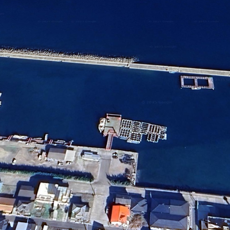 天草海上釣り堀 楽つり