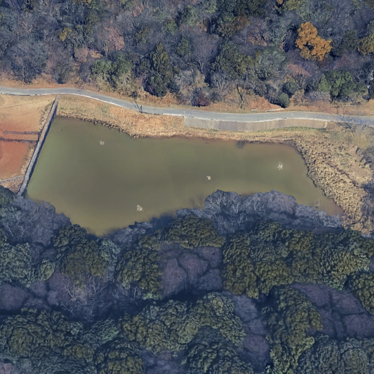 万石池（サクラ池）