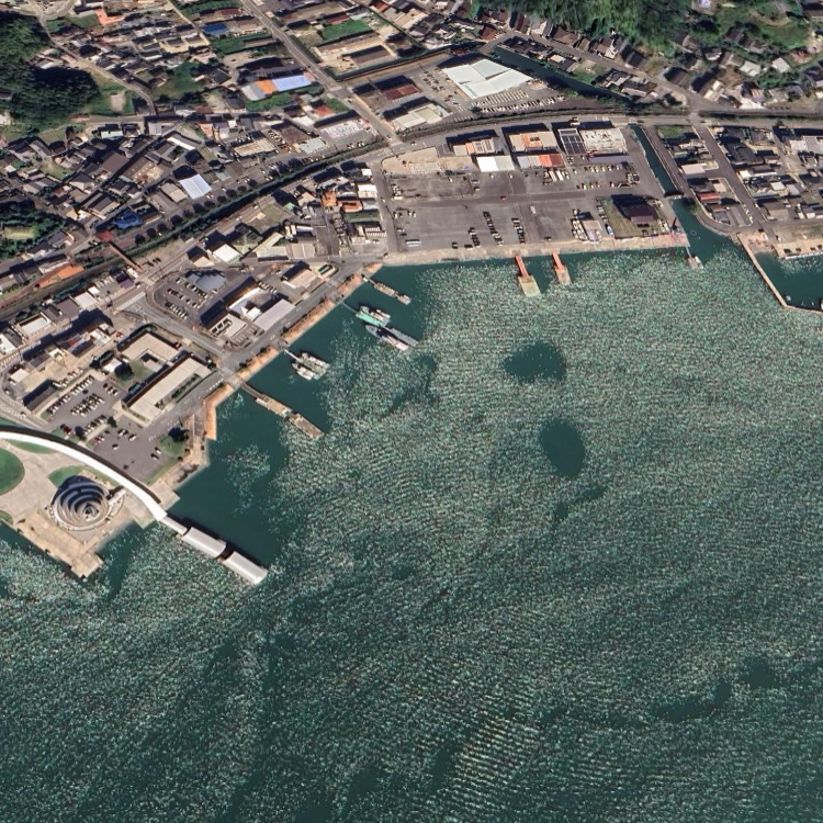 遊漁船 汐音丸 shionmaru