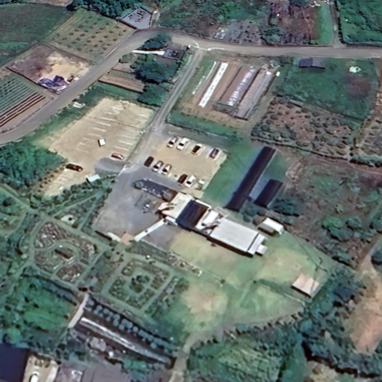 たまなフラワーパーク