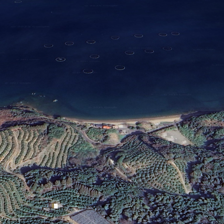 三ツ島海水浴場