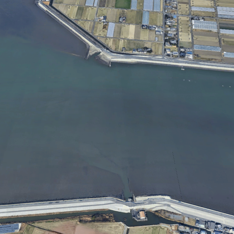 緑川河口・サヨンバネ