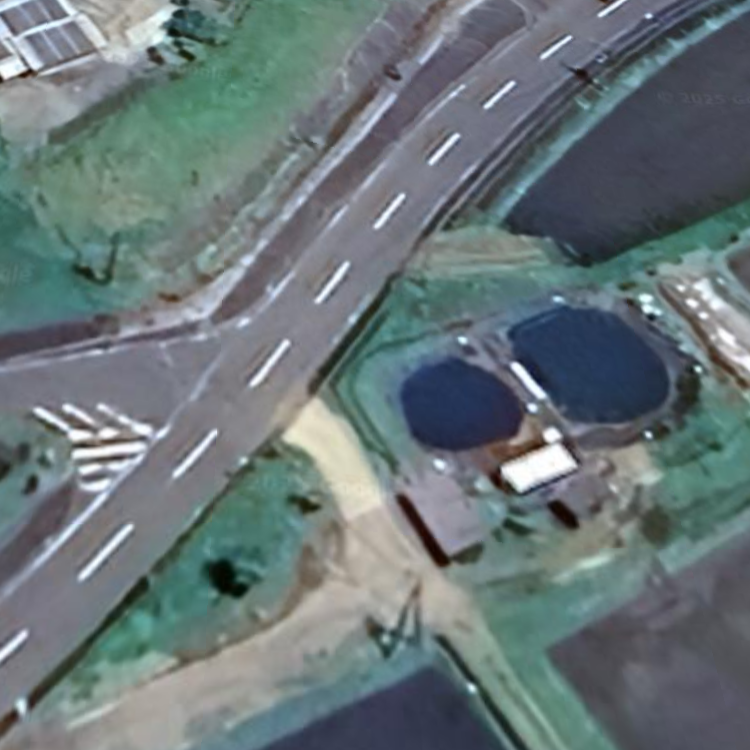 やまめの釣り堀