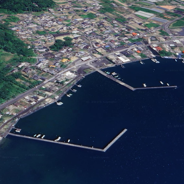 蒲江 森崎港 筏釣り 博丸