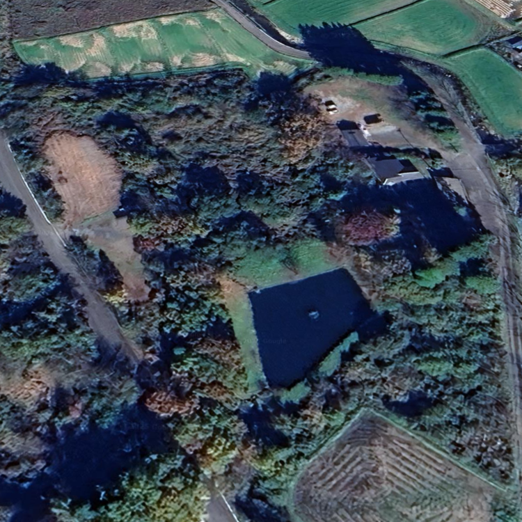 フィッシングてらとこ