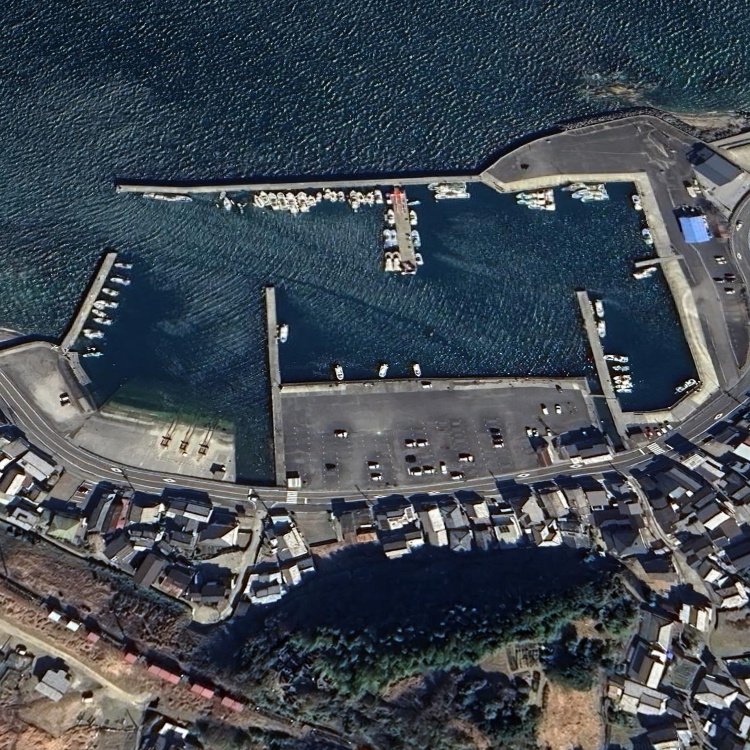 THE BLUES FISHING SERVICE