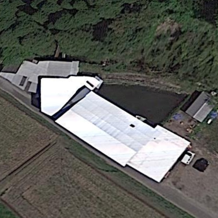 カネミつりぼりランド