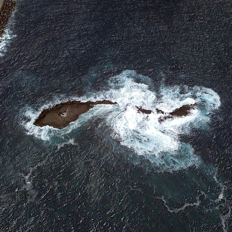 沖のイクイバエ