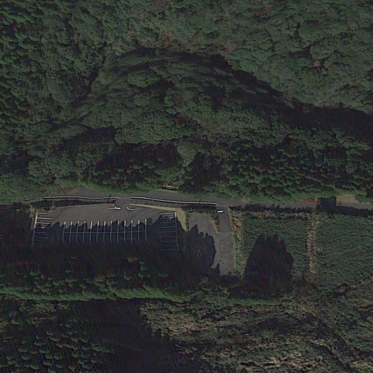 奥花瀬ニジマス釣場