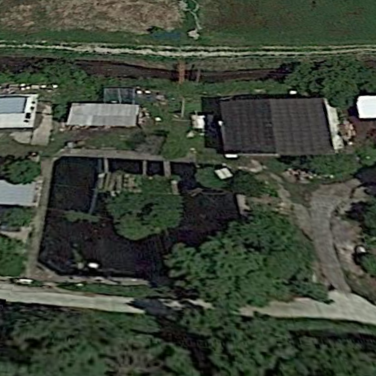 マス釣り浜ちゃんパーク