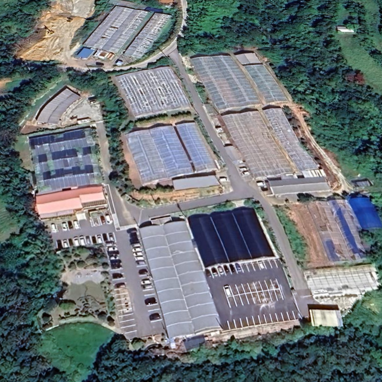 釣って見つけるぼうけんの国 沖縄